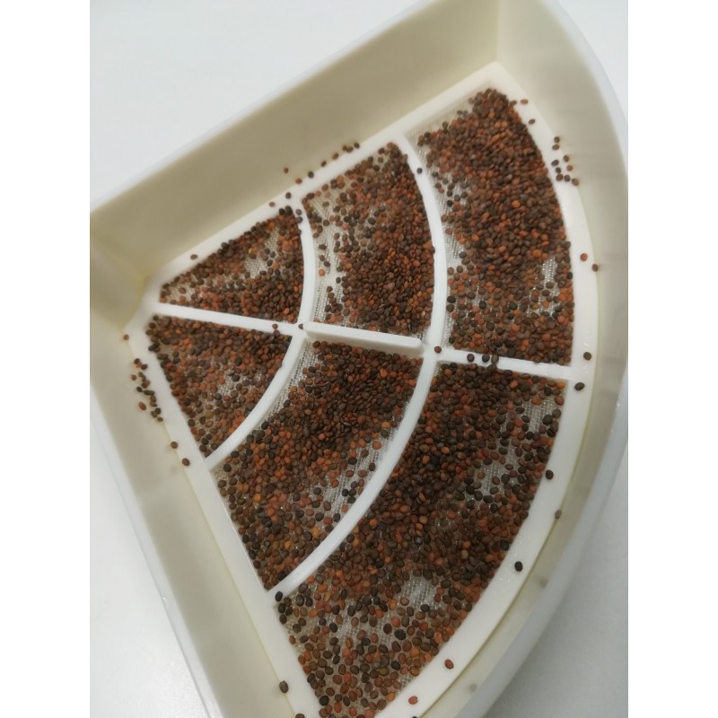 GermoglioSì Germogliatore De Luxe 5 Vassoi – Innovativo E Brevettato, Con 4 Mix Di Semi Bio Inclusi (32g), Professionale E Made In Italy