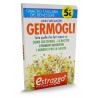 Germogli