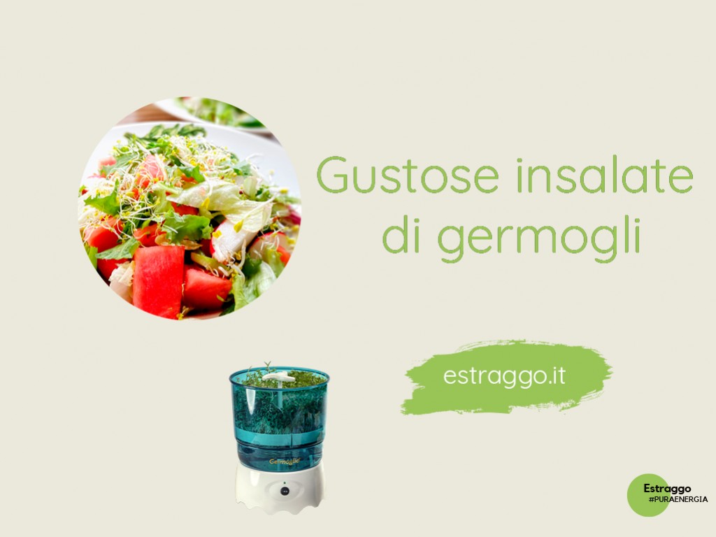 Menù germogli di Luglio