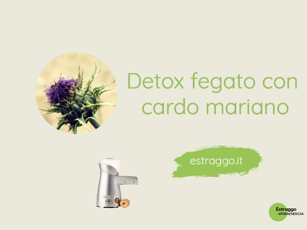 Proprietà dell’olio di semi di cardo mariano