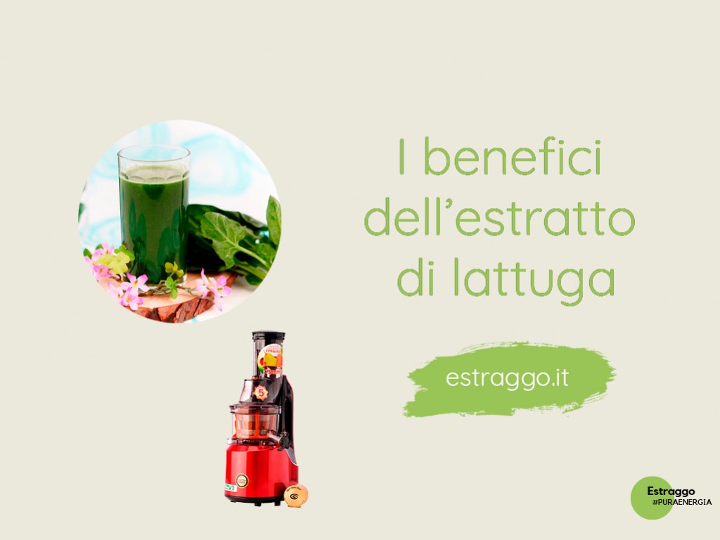 Che cosa succede al nostro corpo quando assumiamo un estratto di lattuga?
