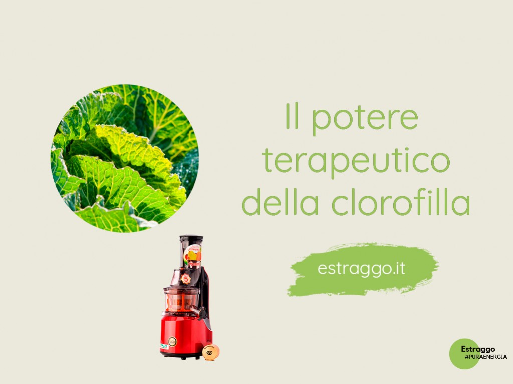 Il potere terapeutico della clorofilla: l'estratto dell'erba di grano.