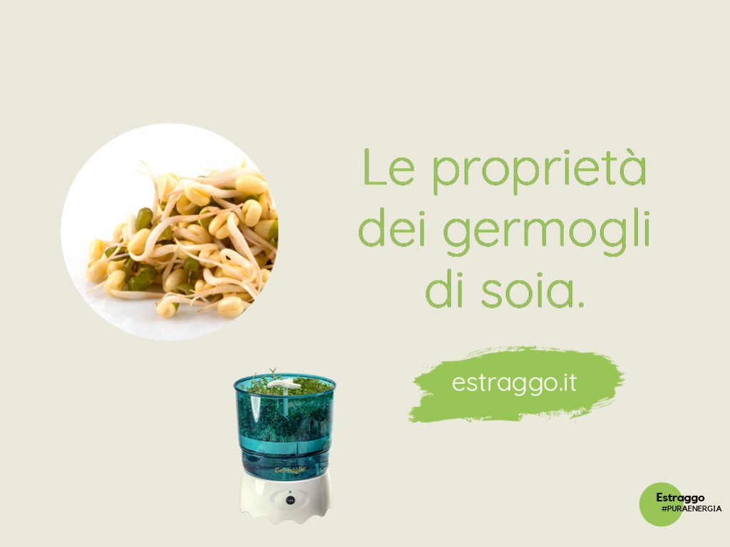 Le proprietà della soia verde sono davvero tante: scoprile tutte qui!
