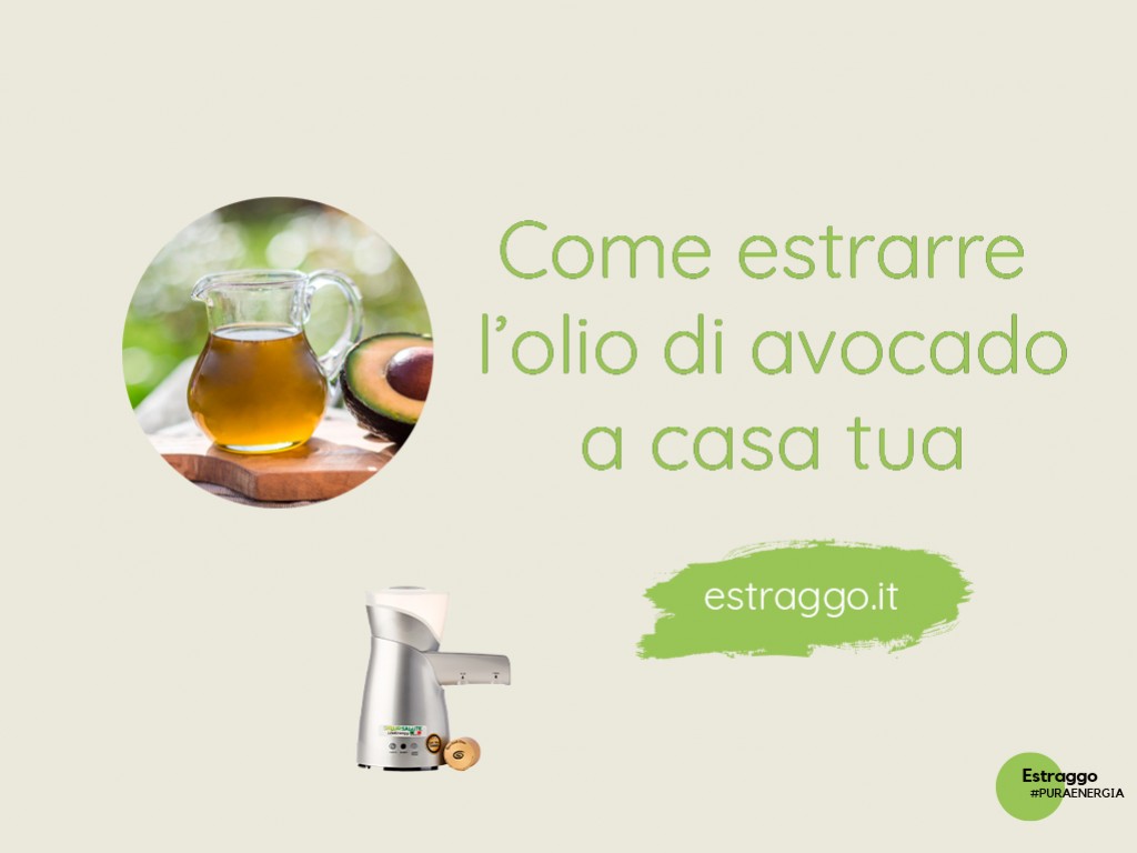Come estrarre l'olio dall'avocado a casa tua in modo semplice e veloce.
