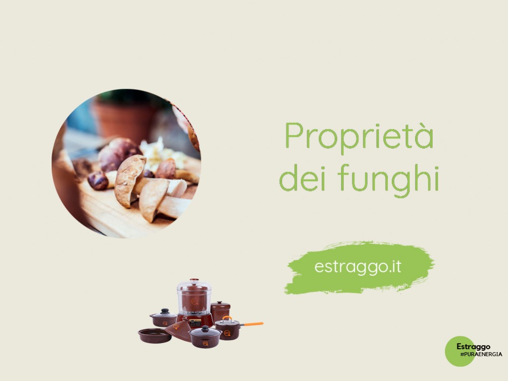 Proprietà dei funghi, vitamine, minerali, stagionalità e benefici: come cucinarli nelle pentole di ceramica