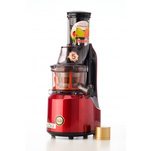 LifeEnergy PRO, Made in Italy Professional Slow Juicer with Silent AC Motor
