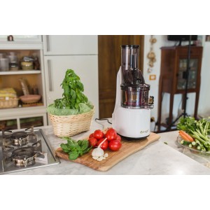 Best Rated Masticating Juicer for Professionals: Estraggo PRO