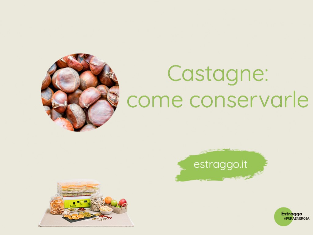 Come consevare le castagne? Scopri tutti i metodi!