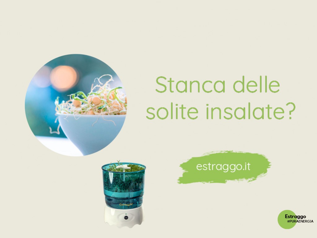 Stanca delle solite insalate? Ecco alcune idee alternative che ti sorprenderanno!