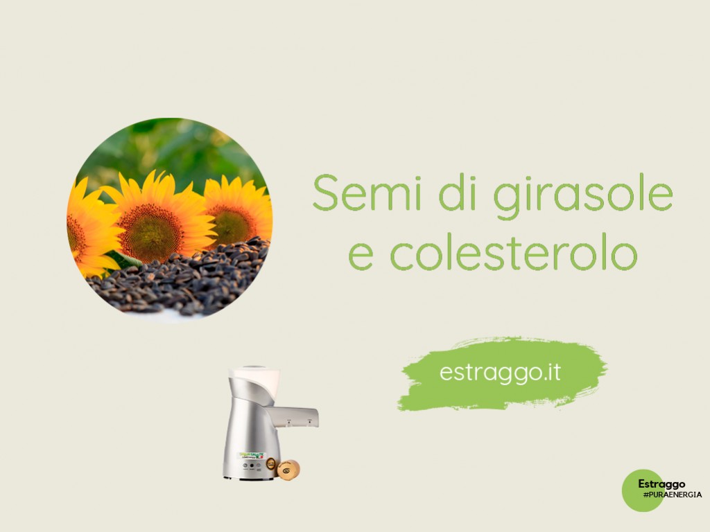 Semi di girasole e colesterolo: ne contengono o no?