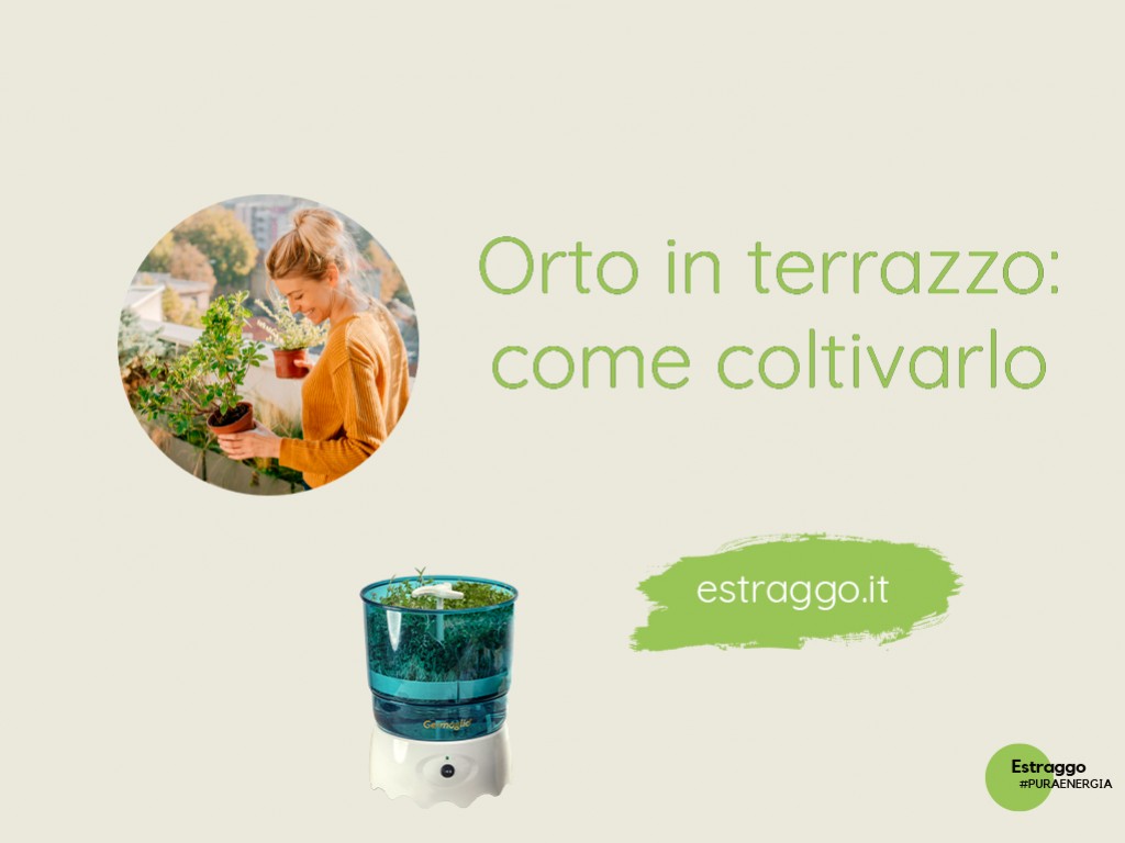 ORTO IN TERRAZZO: cosa coltivare per fare estratti e succhi