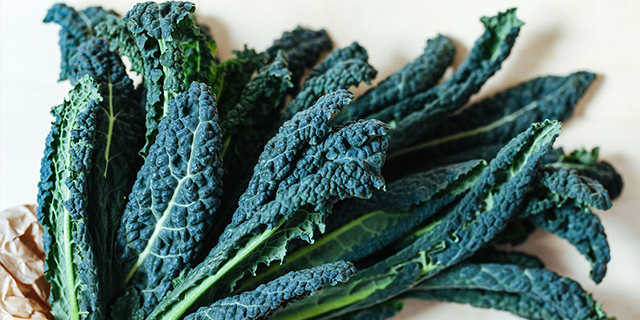 cavolo nero