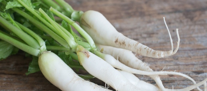 Daikon Cellulite