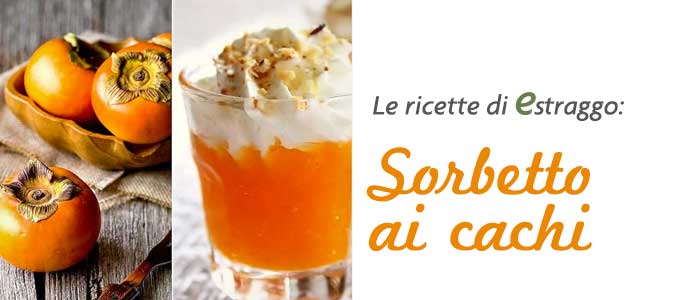 Sorbetto cachi con Estraggo