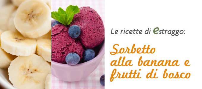 Sorbetto Banana e Frutti di Bosco