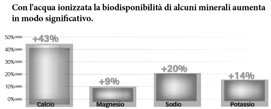 Biodisponibilità