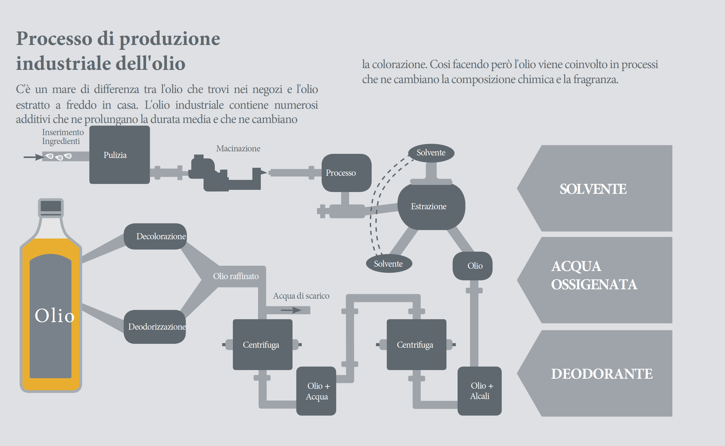 processo olio