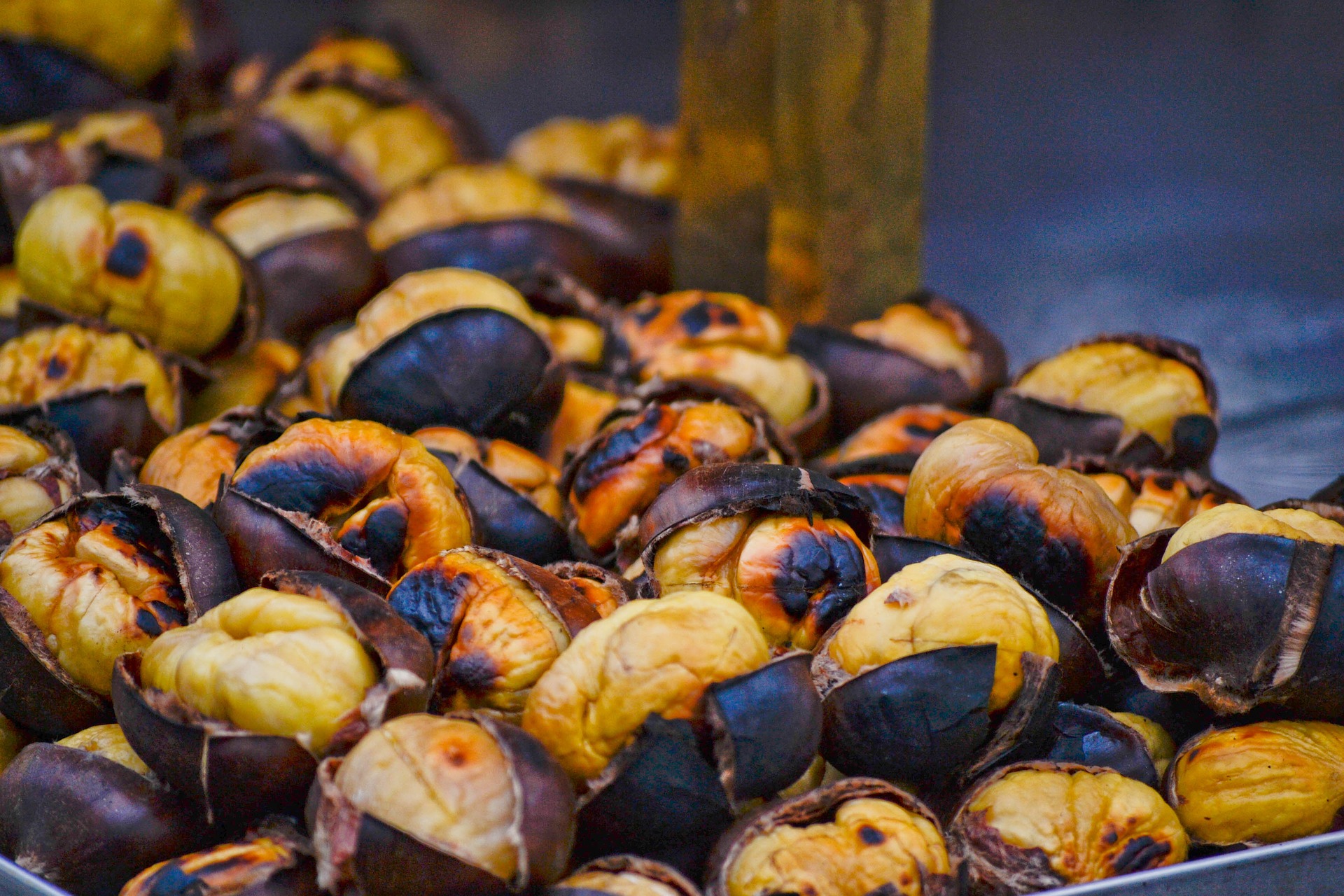 castagne cotte