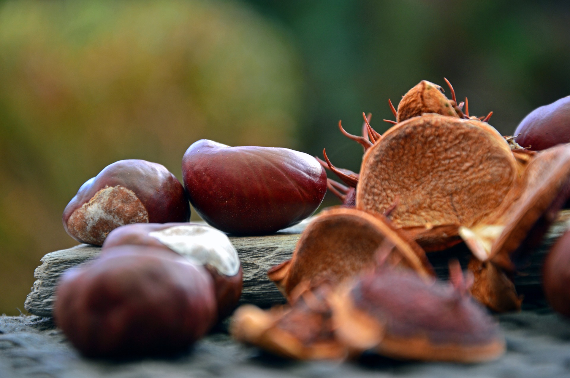 Castagne