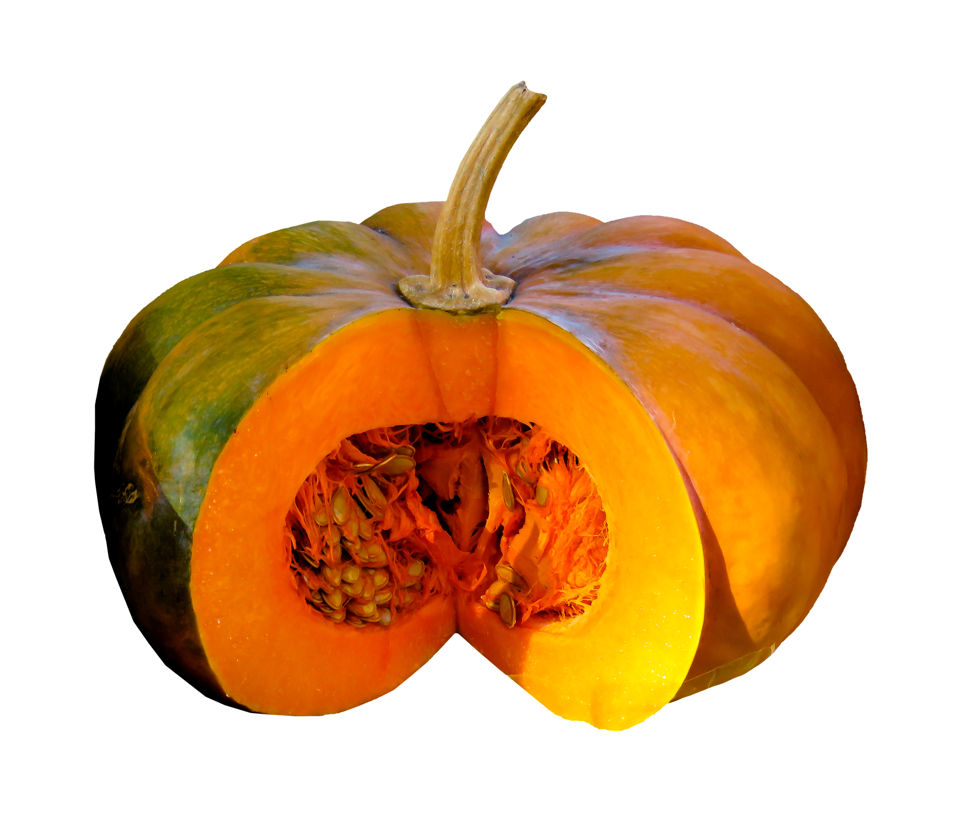 Zucca