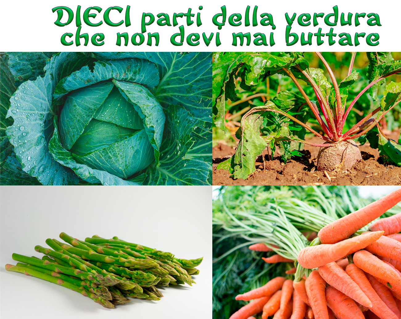 10 parti della verdura che non devi mai buttare 10 parti della verdura che sbagli a non usare