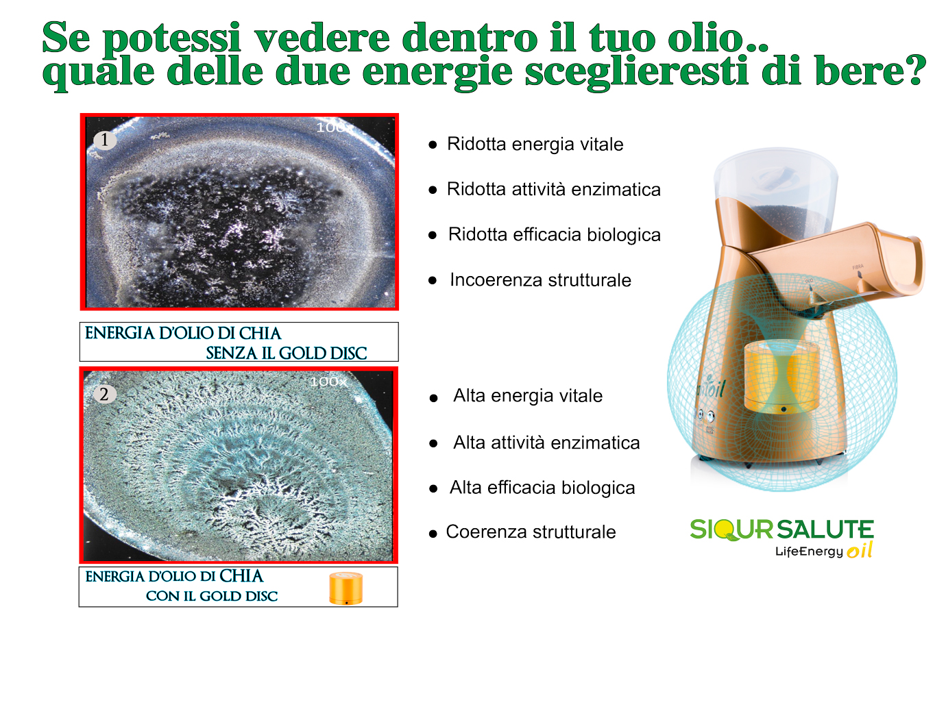 frantoio casalingo a freddo