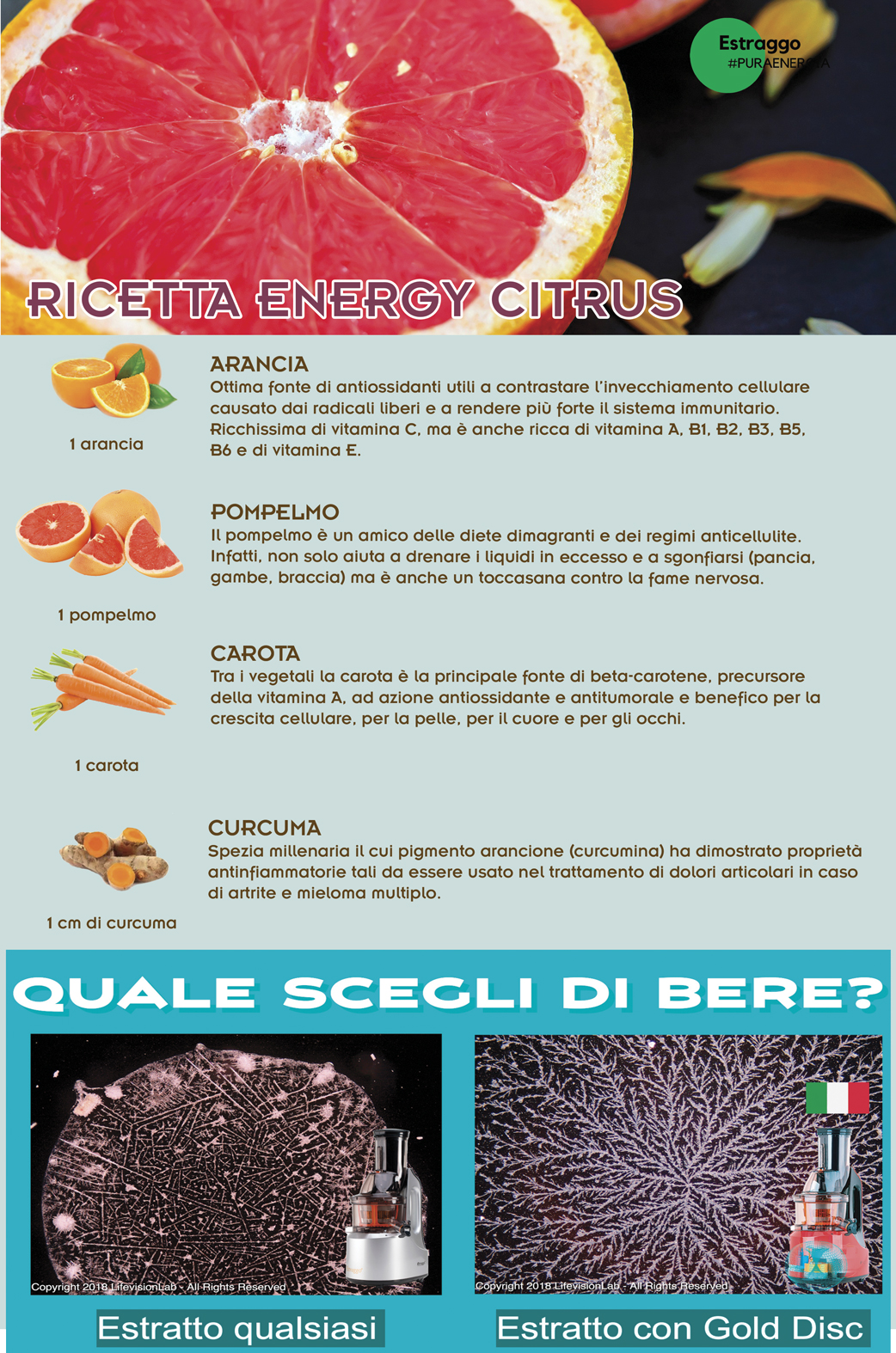 energy-citrus