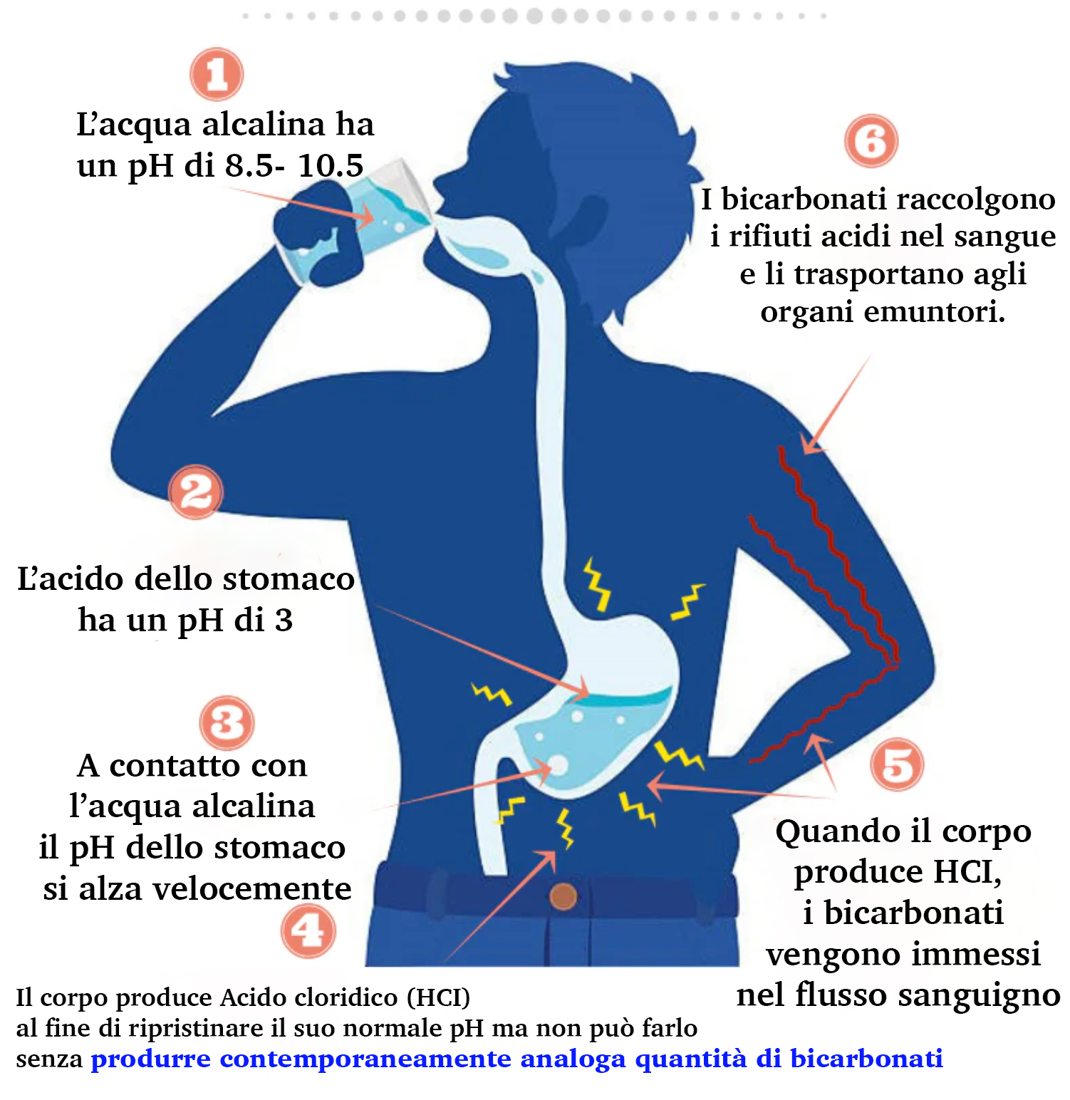 bicarbonati-corpo