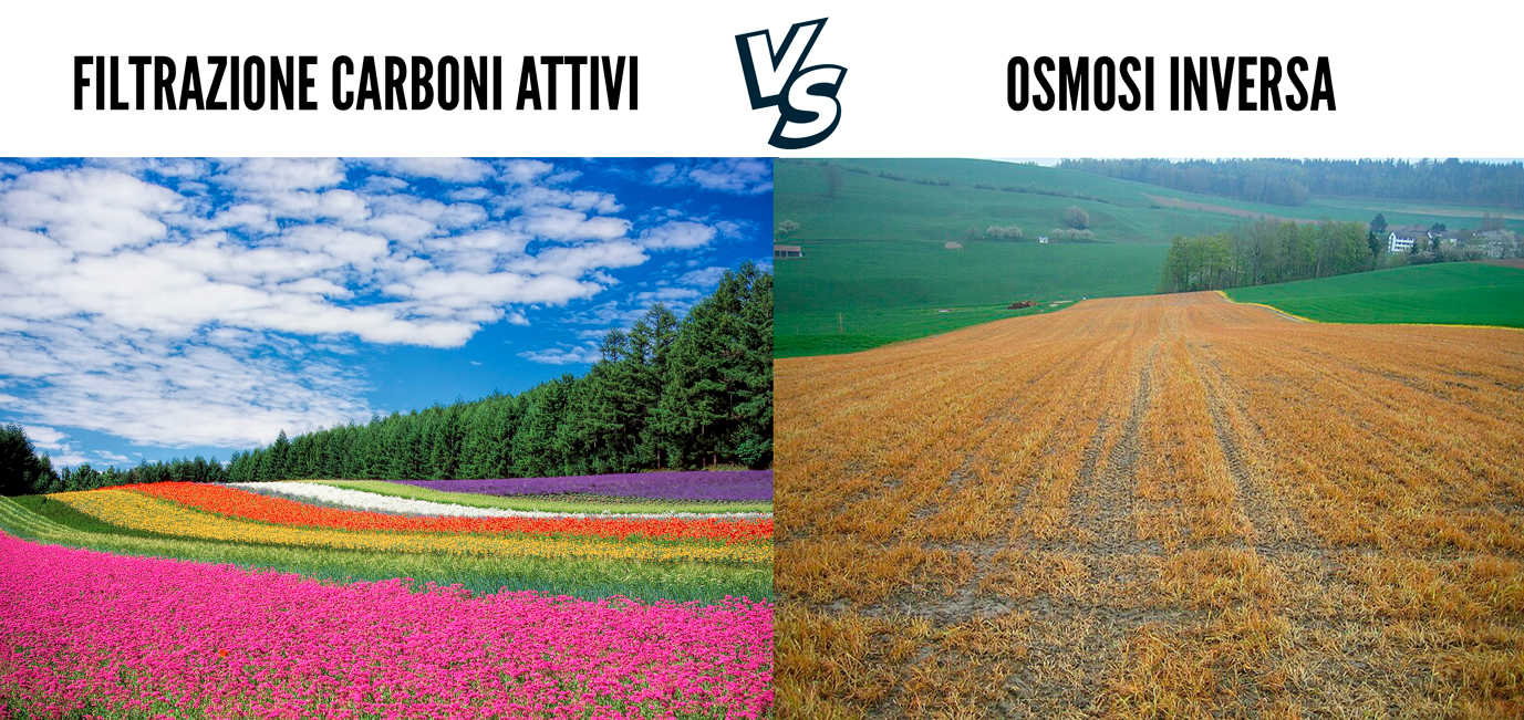 differenza tra un depuratore d'acqua con filtrazione a carboni attivi e con osmosi inversa