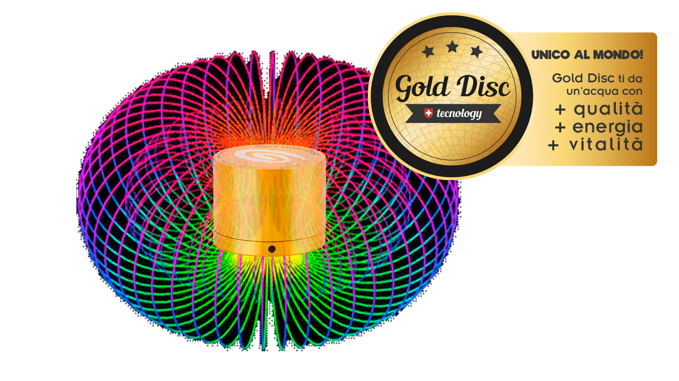 gold-disc-con-toroide