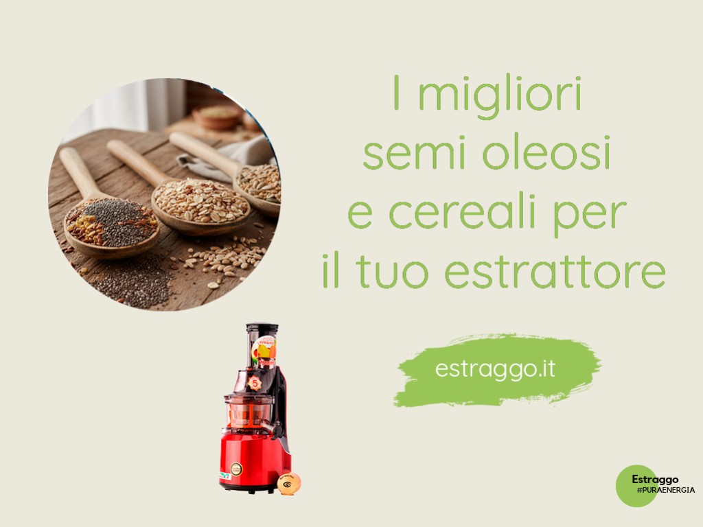 Stanchezza cronica e digestione lenta? Scopri la potenza dei semi oleosi e dei cereali di Tibiona 