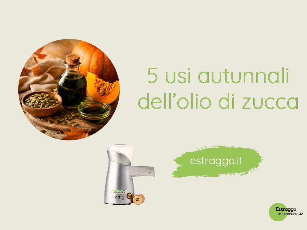 Olio di semi di zucca fatto in casa: 5 usi autunnali da scoprire