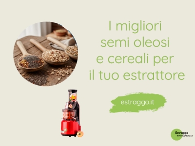 Stanchezza cronica e digestione lenta? Scopri la potenza dei semi oleosi e dei cereali di Tibiona 