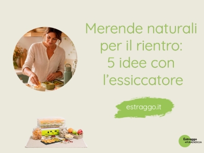 Merende naturali per il rientro: 5 idee con l’essiccatore